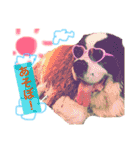 犬のドンちゃんのスタンプ2（個別スタンプ：14）