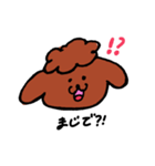 ゆる〜いトイプー（個別スタンプ：4）