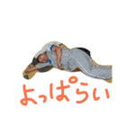 みんなのマイキー（個別スタンプ：5）