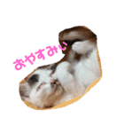 猫のうどん（個別スタンプ：3）