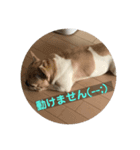 フレブルはな（個別スタンプ：6）