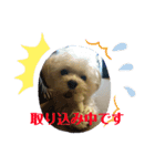 ラブ＆パピー（個別スタンプ：8）
