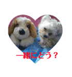 ラブ＆パピー（個別スタンプ：11）