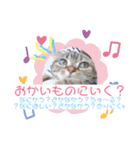 コゲ・ミツジ（個別スタンプ：5）