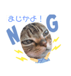 コゲ・ミツジ（個別スタンプ：8）