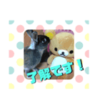 犬とウサギの生活（個別スタンプ：1）