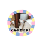 キュートな動物たち（個別スタンプ：2）