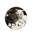 キュートな動物たち（個別スタンプ：7）