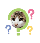 キュートな動物たち（個別スタンプ：13）