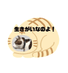 キュートな動物たち（個別スタンプ：26）