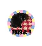 キュートな動物たち（個別スタンプ：27）