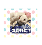 キュートな動物たち（個別スタンプ：28）