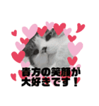 キュートな動物たち（個別スタンプ：30）