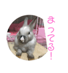 ハニー＆メイプル 2（個別スタンプ：4）
