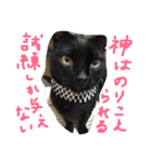 ねこの名言（個別スタンプ：1）