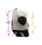 ねこの名言（個別スタンプ：3）