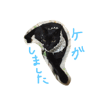 ねこの名言（個別スタンプ：9）