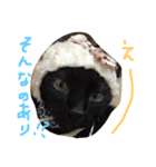 ねこの名言（個別スタンプ：13）