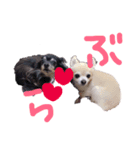 ゼロ❤️チロスタンプ（個別スタンプ：8）