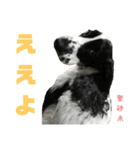 関西インギーズだよ全員集合 vol.1（個別スタンプ：1）