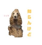 関西インギーズだよ全員集合 vol.1（個別スタンプ：5）