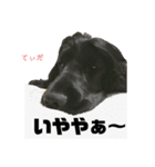 関西インギーズだよ全員集合 vol.1（個別スタンプ：7）