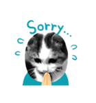 我が家の猫（part4）（個別スタンプ：4）