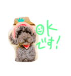 我が家の愛犬ブラウンTプー（個別スタンプ：7）