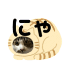 つくねのスタンプ2（個別スタンプ：11）