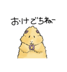 モルモットのもこち（個別スタンプ：1）