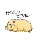 モルモットのもこち（個別スタンプ：6）