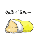 モルモットのもこち（個別スタンプ：7）