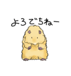 モルモットのもこち（個別スタンプ：8）