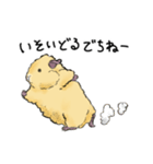 モルモットのもこち（個別スタンプ：10）