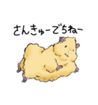 モルモットのもこち（個別スタンプ：12）