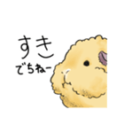 モルモットのもこち（個別スタンプ：13）