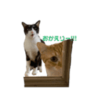 むぎとらこまるんのスタンプ（個別スタンプ：4）