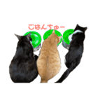 むぎとらこまるんのスタンプ（個別スタンプ：12）