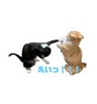 むぎとらこまるんのスタンプ（個別スタンプ：14）
