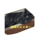 リノさん（個別スタンプ：3）