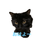 リノさん（個別スタンプ：7）