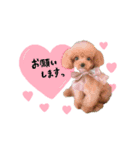 とあちゃんときなこちゃんのスタンプ（個別スタンプ：3）