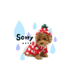とあちゃんときなこちゃんのスタンプ（個別スタンプ：4）