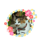 愛しのウリ（個別スタンプ：1）