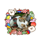 愛しのウリ（個別スタンプ：5）