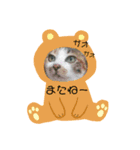 愛しのウリ（個別スタンプ：8）