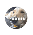 ジャスミンとルビーのかわいいスタンプ！（個別スタンプ：5）