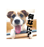 ジャスミンとルビーのかわいいスタンプ！（個別スタンプ：12）