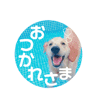 ジャスミンとルビーのかわいいスタンプ！（個別スタンプ：13）