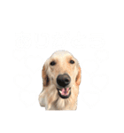 ジャスミンとルビーのかわいいスタンプ！（個別スタンプ：14）